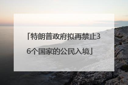 特朗普政府拟再禁止36个国家的公民入境