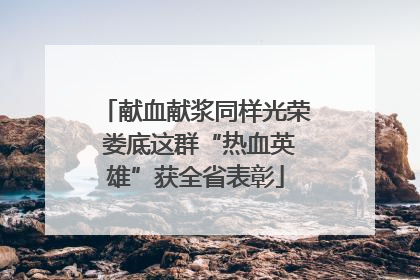 献血献浆同样光荣 娄底这群“热血英雄”获全省表彰