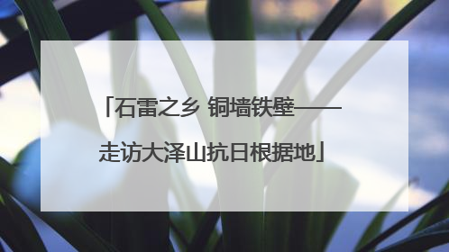 石雷之乡 铜墙铁壁——走访大泽山抗日根据地