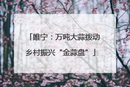 睢宁：万吨大蒜拨动乡村振兴“金蒜盘”