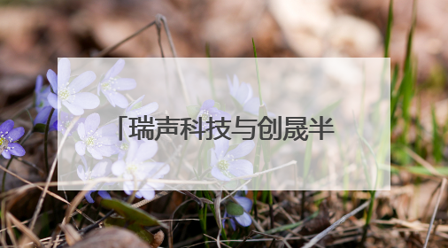 瑞声科技与创晟半导体达成战略合作