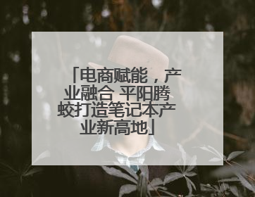 电商赋能，产业融合 平阳腾蛟打造笔记本产业新高地