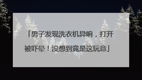 男子发现洗衣机异响，打开被吓晕！没想到竟是这玩意