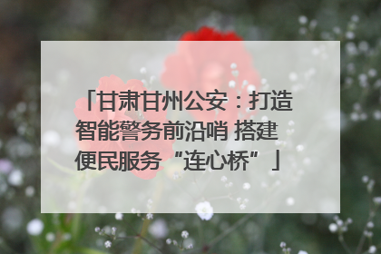 甘肃甘州公安：打造智能警务前沿哨 搭建便民服务“连心桥”