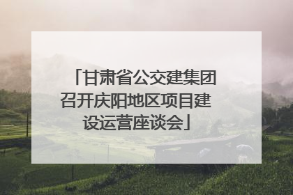 甘肃省公交建集团召开庆阳地区项目建设运营座谈会