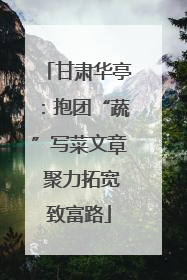 甘肃华亭：抱团“蔬”写菜文章 聚力拓宽致富路
