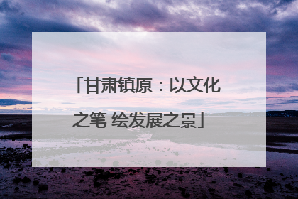 甘肃镇原：以文化之笔 绘发展之景