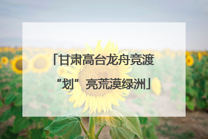甘肃高台龙舟竞渡“划”亮荒漠绿洲