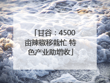 甘谷：4500亩辣椒移栽忙 特色产业助增收