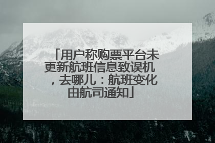 用户称购票平台未更新航班信息致误机，去哪儿：航班变化由航司通知