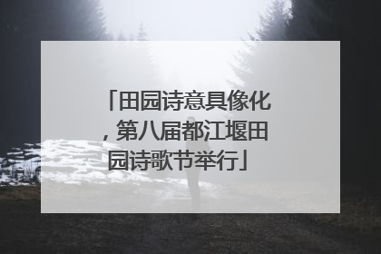 田园诗意具像化，第八届都江堰田园诗歌节举行