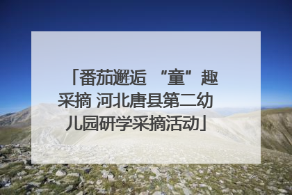 番茄邂逅 “童”趣采摘 河北唐县第二幼儿园研学采摘活动