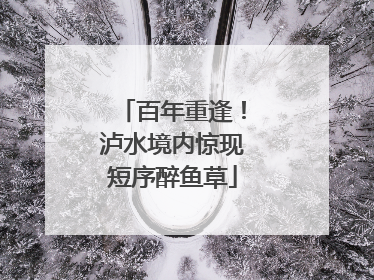 百年重逢！泸水境内惊现短序醉鱼草