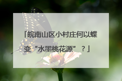 皖南山区小村庄何以蝶变“水墨桃花源”？