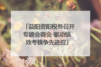 益阳资阳税务召开专题会商会 驱动绩效考核争先进位