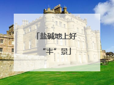 盐碱地上好“丰”景