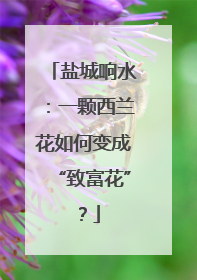 盐城响水：一颗西兰花如何变成“致富花”？