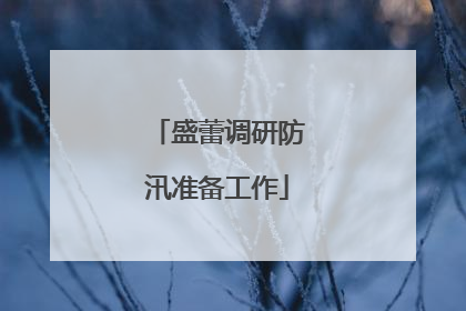 盛蕾调研防汛准备工作