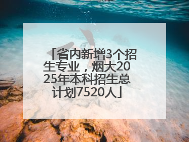 省内新增3个招生专业，烟大2025年本科招生总计划7520人