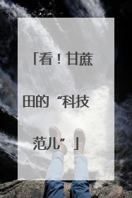 看！甘蔗田的“科技范儿”