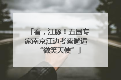 看，江豚！五国专家南京江边考察邂逅“微笑天使”