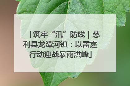 筑牢“汛”防线｜慈利县龙潭河镇：以雷霆行动迎战暴雨洪峰