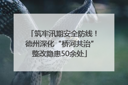 筑牢汛期安全防线！德州深化“桥河共治”整改隐患50余处