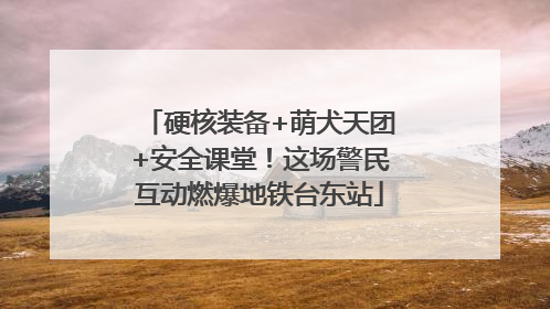硬核装备+萌犬天团+安全课堂！这场警民互动燃爆地铁台东站