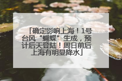 确定影响上海！1号台风“蝴蝶”生成，预计后天登陆！周日前后上海有明显降水