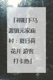 祁阳下马渡镇元家庙村：夏日荷花开 游客打卡热