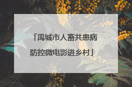 禹城市人畜共患病防控微电影进乡村