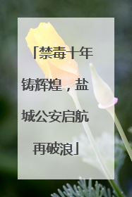 禁毒十年铸辉煌，盐城公安启航再破浪