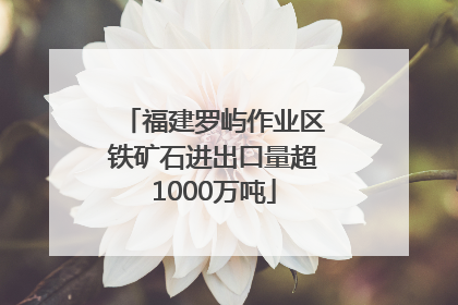 福建罗屿作业区铁矿石进出口量超1000万吨