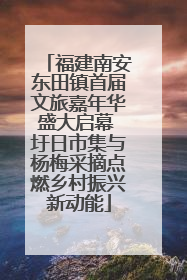 福建南安东田镇首届文旅嘉年华盛大启幕 圩日市集与杨梅采摘点燃乡村振兴新动能
