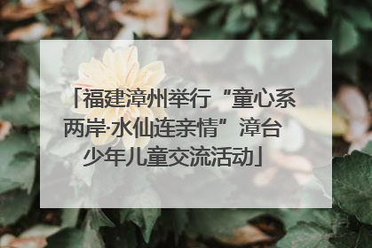 福建漳州举行“童心系两岸·水仙连亲情”漳台少年儿童交流活动