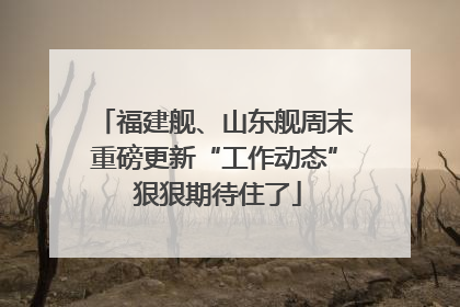 福建舰、山东舰周末重磅更新“工作动态” 狠狠期待住了