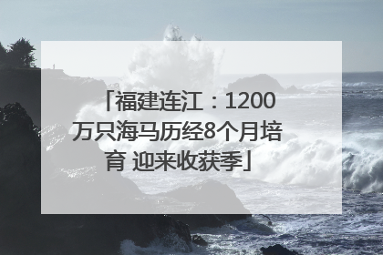 福建连江：1200万只海马历经8个月培育 迎来收获季
