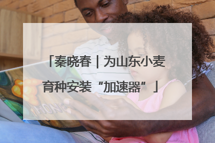秦晓春｜为山东小麦育种安装“加速器”