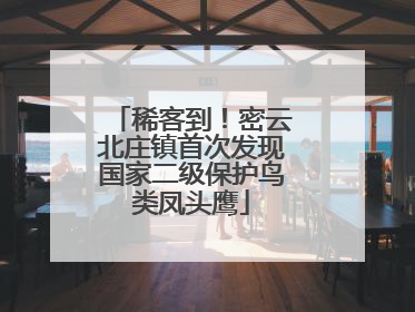稀客到！密云北庄镇首次发现国家二级保护鸟类凤头鹰