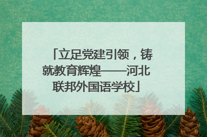 立足党建引领，铸就教育辉煌——河北联邦外国语学校