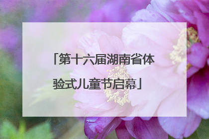 第十六届湖南省体验式儿童节启幕