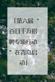 第六届“百日千万招聘专项行动”在青岛启动