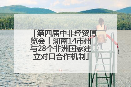 第四届中非经贸博览会丨湖南14市州与28个非洲国家建立对口合作机制