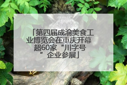第四届成渝美食工业博览会在重庆开幕 超60家“川字号”企业参展