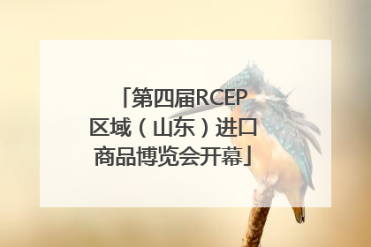 第四届RCEP区域（山东）进口商品博览会开幕