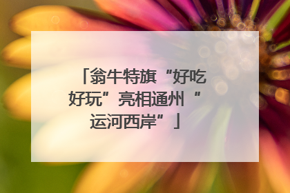 翁牛特旗“好吃好玩”亮相通州“运河西岸”