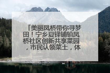 美丽凤桥带你寻梦田！宁乡夏铎铺镇凤桥社区创新共享菜园，市民认领菜土，体验耕种收获乐趣