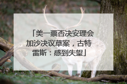 美一票否决安理会加沙决议草案，古特雷斯：感到失望