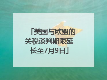 美国与欧盟的关税谈判期限延长至7月9日