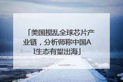 美国搅乱全球芯片产业链，分析师称中国AI生态有望出海